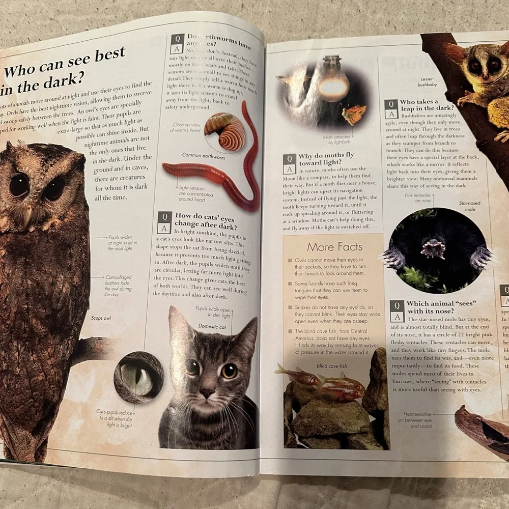 Amazing Animals Q&A- everything you never knew about the animal kingdom - Picture 5 of 10